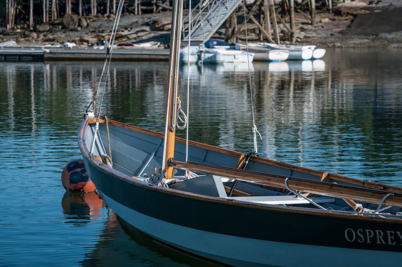 21 ft Alpha-Beachcomber Sailing Dory WoodenBoat Magazine