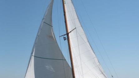 SALLY racing in 2019 San Diego YC Opening Day Race.