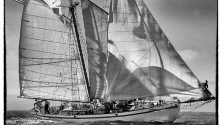 DIRIGO II, 2015 AMERICA's Schooner Cup Regatta. Photo by Darrall Slater ©Bayshots.com