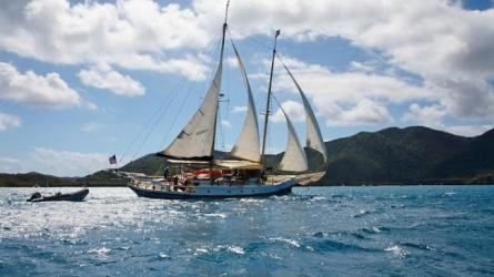 TALOFA
