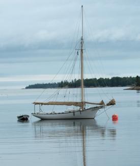 BELFORD GRAY, Friendship sloop built at WoodenBoat School. Photo ©Richard Leighton