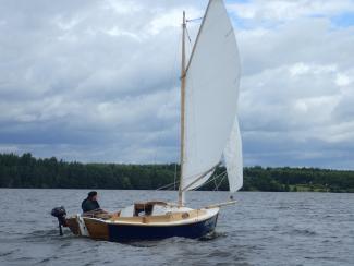 Eider sailing.