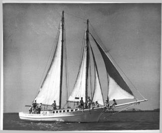 LAVENGRO (ex-HELEN) was built as an oyster schooner.