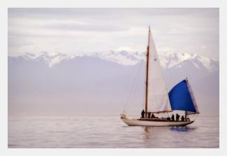 LOTUS, waiting for the start, 2008 Swiftsure Classic. Photo: Bruce Baycroft.