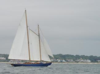 Schooner MYA under sail