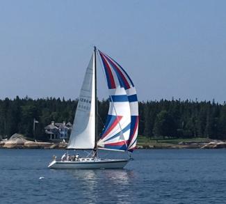 WILDWOOD under spinnaker