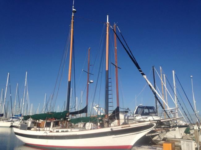 SEA RAVEN, a schooner version of William Garden's Porpoise design.