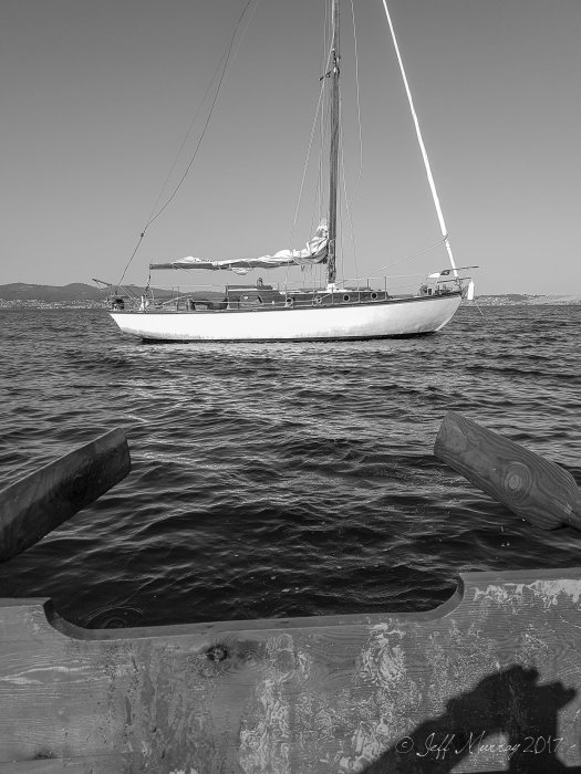 PETER ROBYN PETER ROBYN, Masthead Sloop