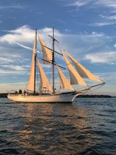 ACTRESS was designed by Murray G. Peterson, built by Scott Kennedy. ACTRESS ex-OLIVER C WEYANT, hermaphrodite brigantine.