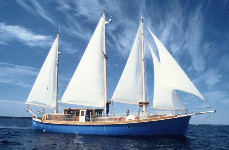 ALCA i | WoodenBoat Magazine