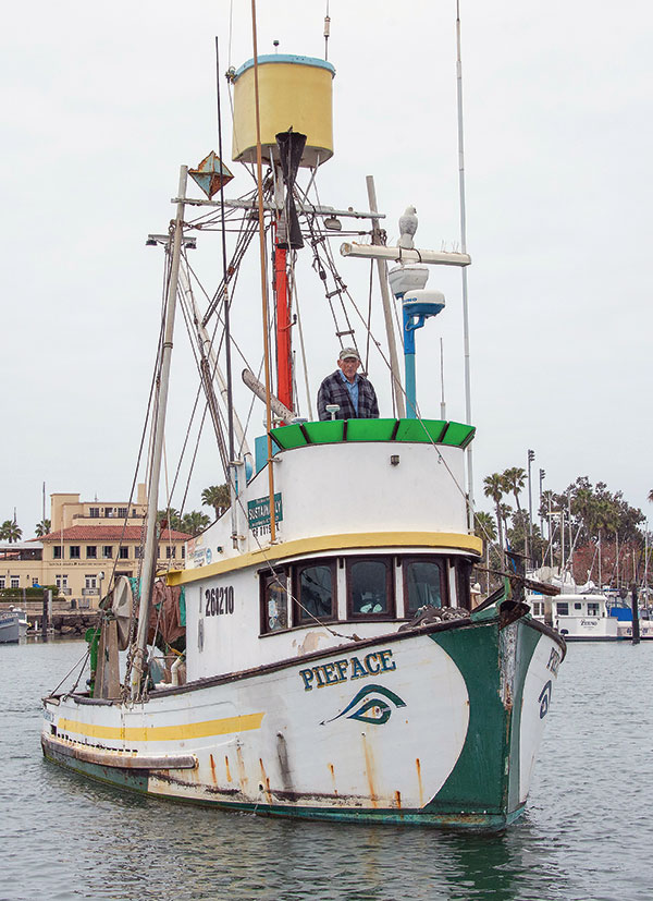 PIEFACE’s flying bridge