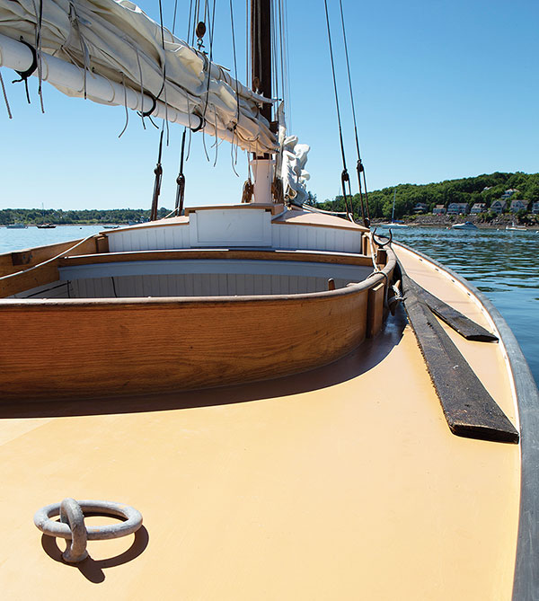 The elliptical shape of the cabin trunk and coaming