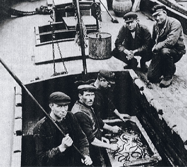 A crew retrieves eels from the wet hold of the palingaak MARIA.