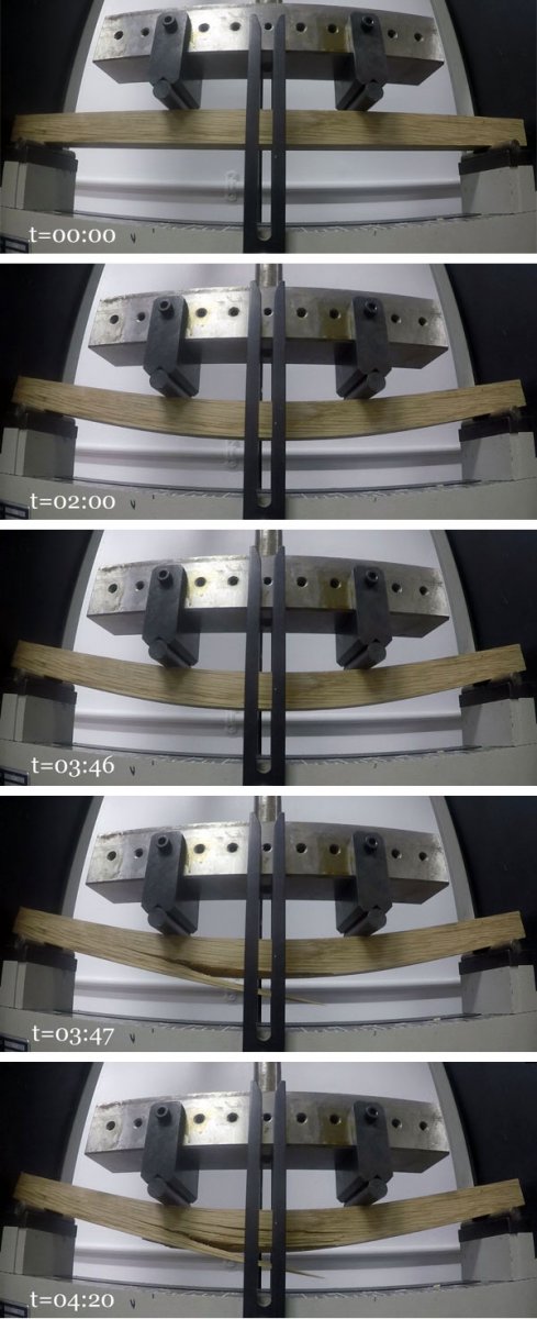 Figure 2, timelapse