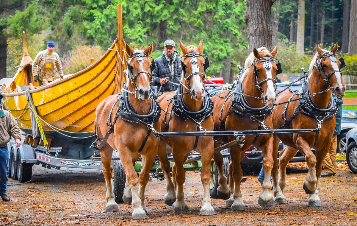 Horses taking POLARIS to water for launching