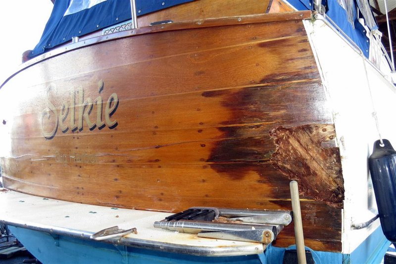 SELKIE | WoodenBoat Magazine