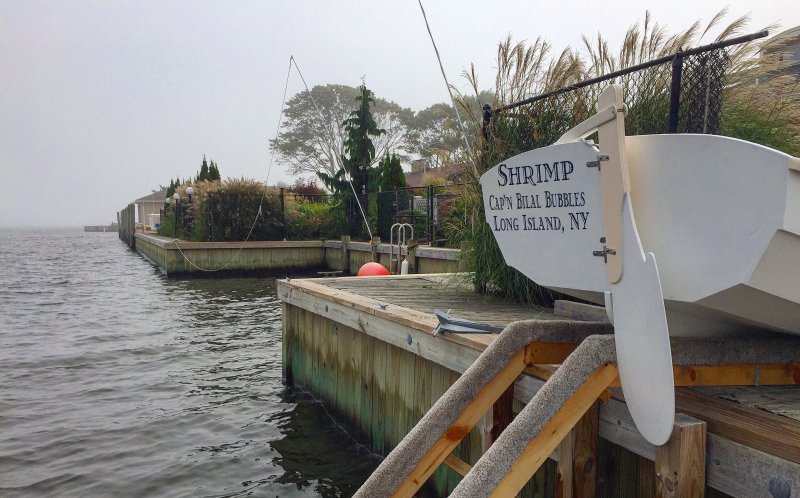 Shrimp WoodenBoat Magazine