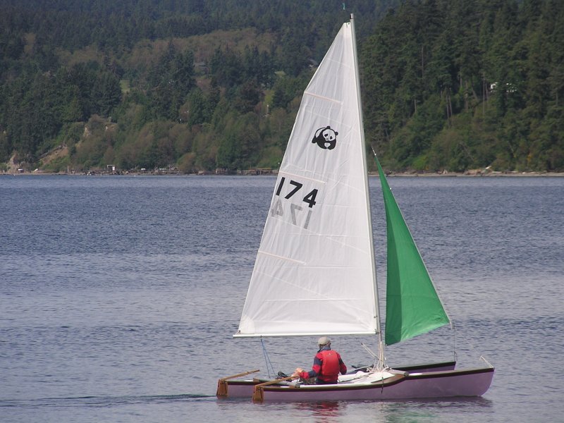 Jack Holt designed catamaran photo