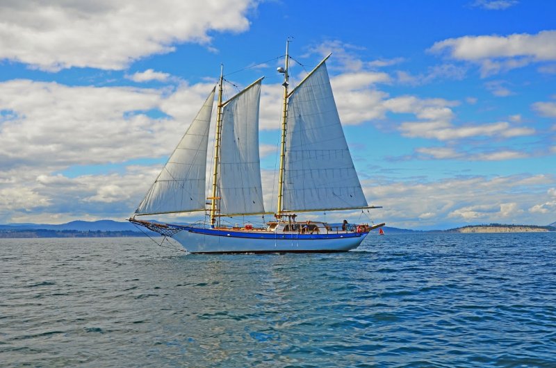BLUE STARR, 46' Bill Garden Walloon schooner. BLUE STARR, 46' Bill Garden Walloon schooner.