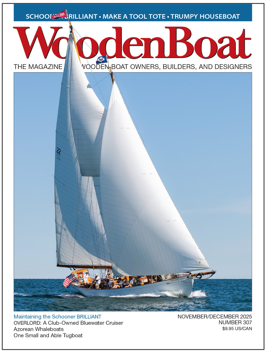 WoodenBoat Magazine 307