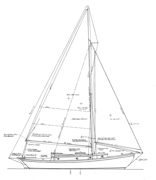Concordia 33' Concordia 33' profile