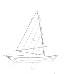 Stickleback Dory (Amberjack) profile Stickleback Dory (Amberjack) profile