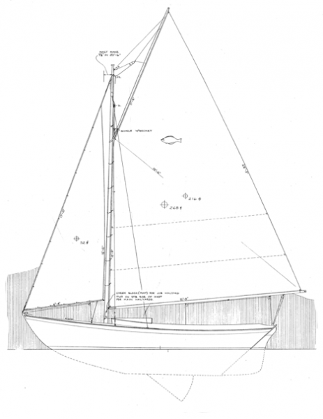 20' 3" Flatfish Class Sloop profile