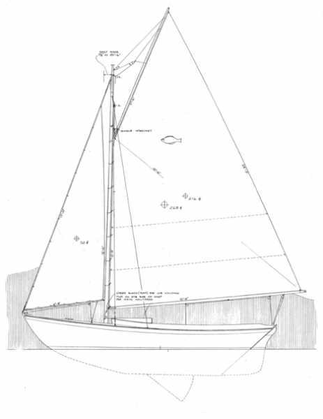 20' 3" Flatfish Class Sloop | WoodenBoat Magazine