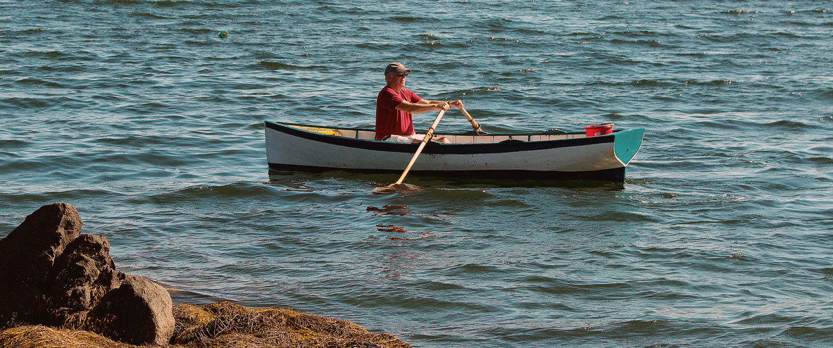 The Saturday Cove Skiff