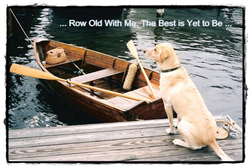 creeky woodenboat magazine