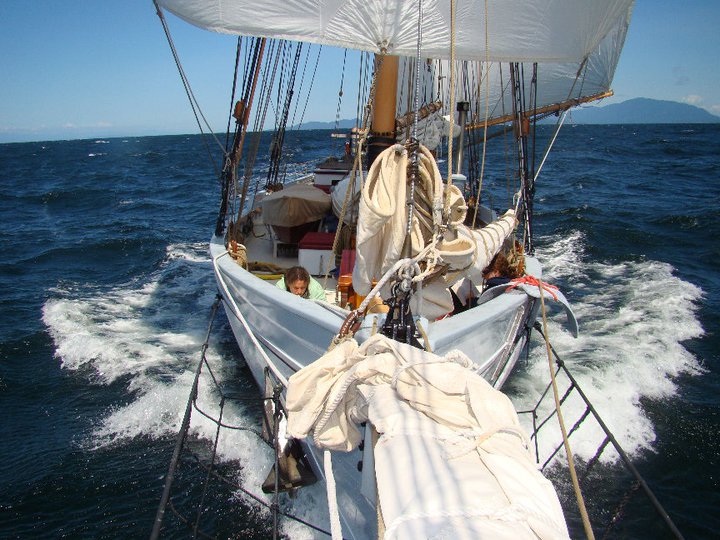 alcyone woodenboat magazine