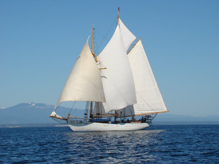 ALCYONE, Frank Prothero schooner