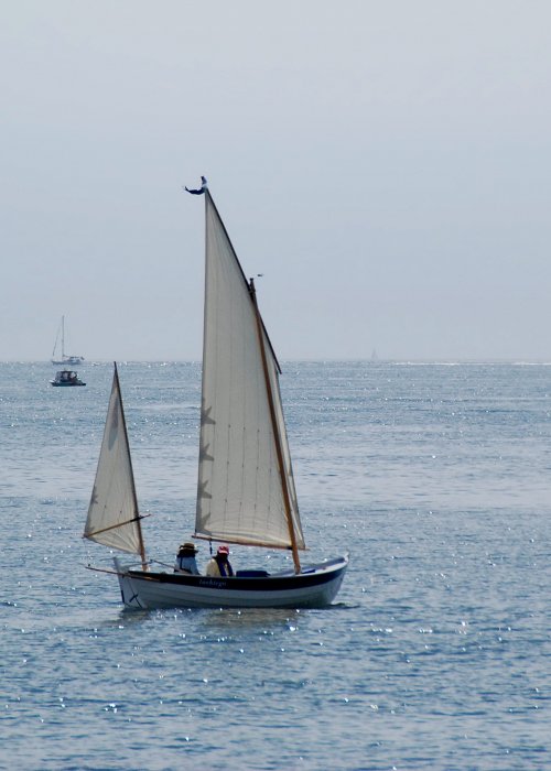 TASHTEGO | WoodenBoat Magazine