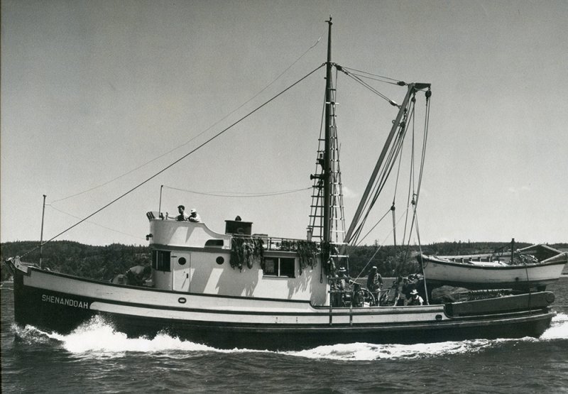 F/V Shenandoah, Gig Harbor, Washington. SHENANDOAH, 65' purse seiner.