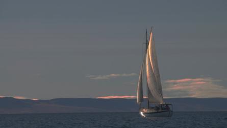 ØRN, spidsgatter ØRN, spidsgatter