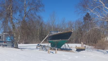 Robb 38, on the hard show and blue skies
