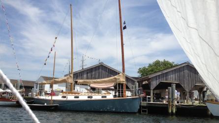 Herreshoff H-31 Cat Ketch sv/Dovetail, in water