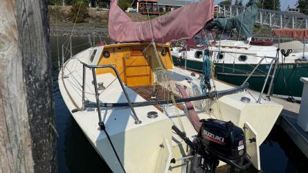 Didi Cruise Mini, docked in water stern view 