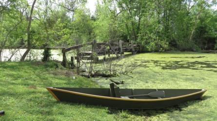 Cypress Pirogue