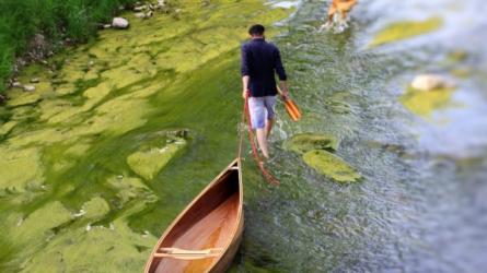 Solo Canoe for Cedar Strip Construction - From Ashes Still Water boats.