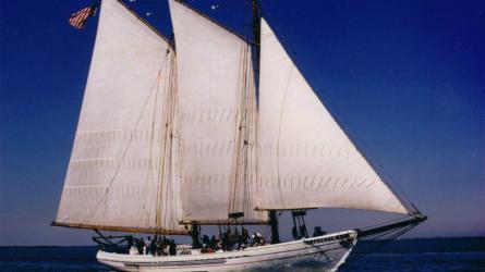 A.J. MEERWALD, restored oyster dredging schooner.  
