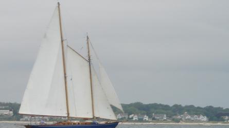 Schooner MYA under sail
