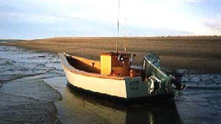 Lumber Yard Skiff