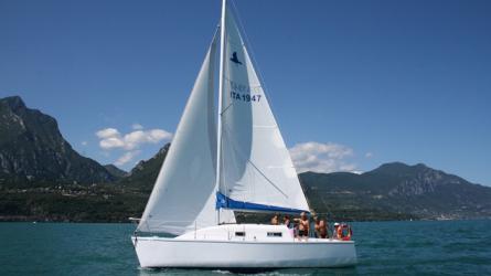 Petrel 28