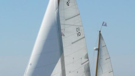 PRAXILLA at Padanaram, August 2008. Photo by Doug Cole.