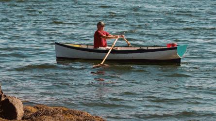 The Saturday Cove Skiff