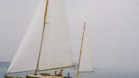 AIDA