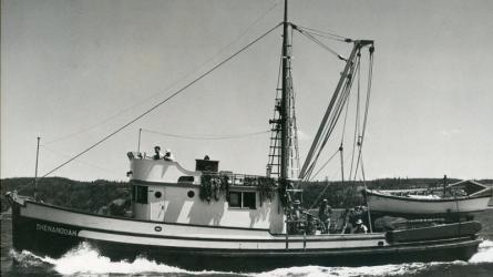 SHENANDOAH, 65' purse seiner. 