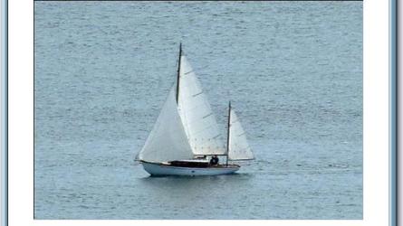 TRILLIUM ex-SYLVIA is a Taylor 25 built in 1939.