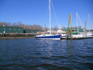 In Stockton Harbor